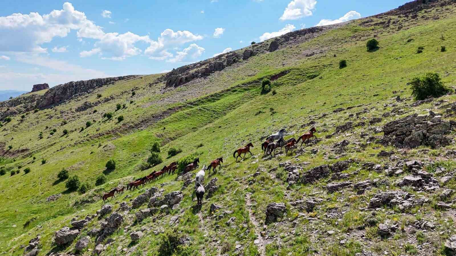 Hayaller Atölyesi’nden Hekimhan’a anlamlı fotoğraf sergisi
