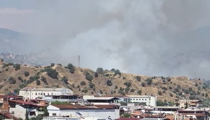 Nazilli’de zirai alan yangını