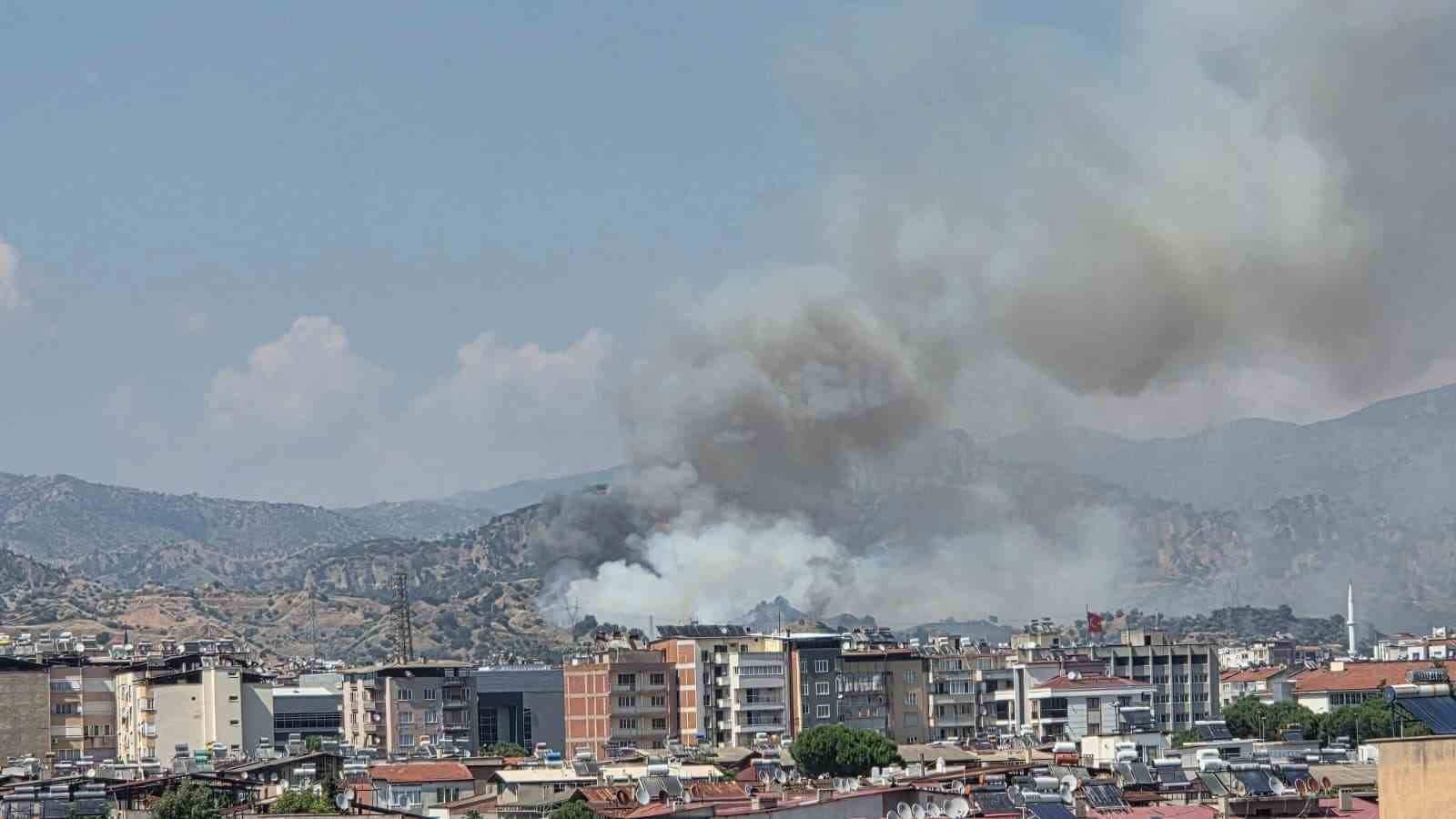 Nazilli’de zirai alan yangını