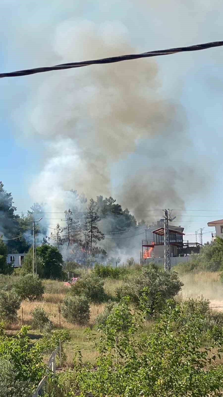 Spiral makinesinden çıkan kıvılcımlar ormanın yanmasına neden oldu: 1 gözaltı