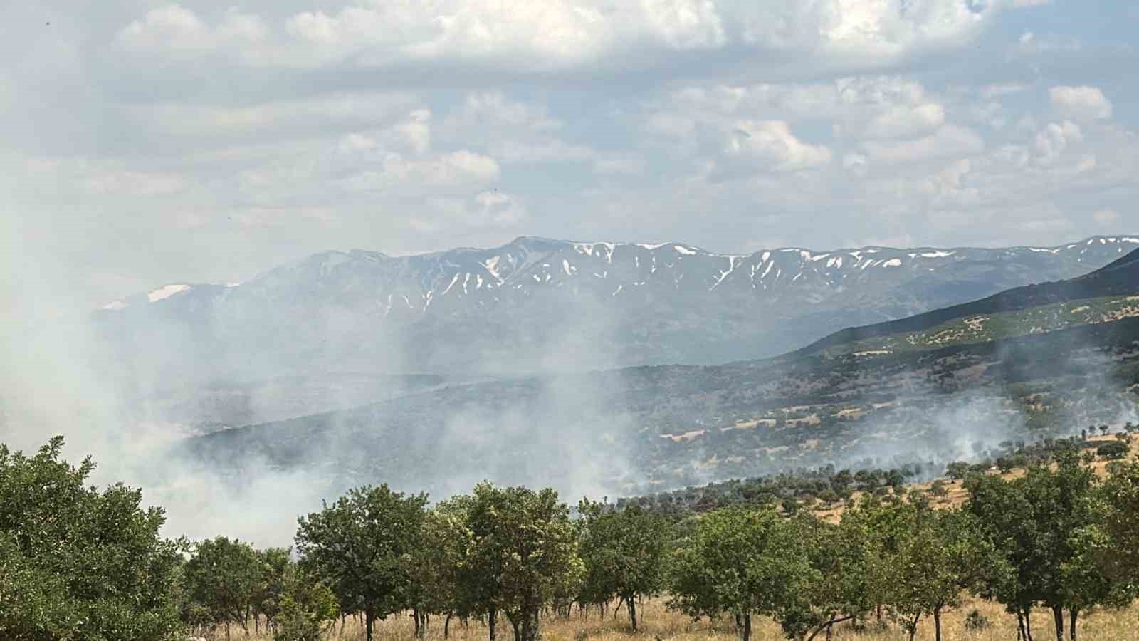 Bingöl’de çıkan orman yangını büyümeden kontrol altına alındı