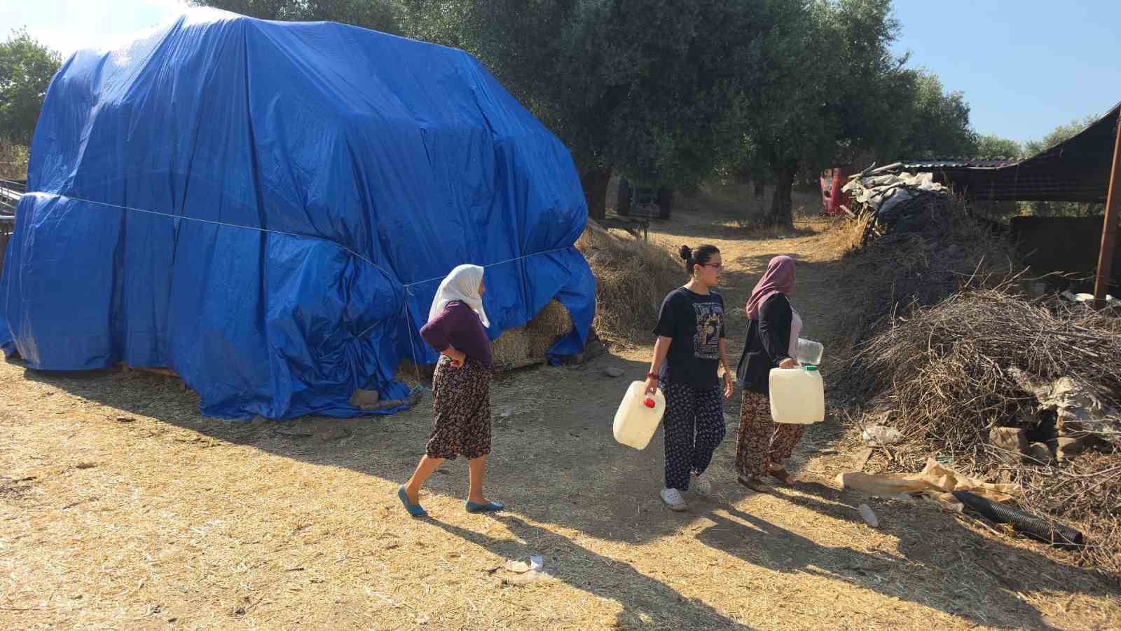 Nazilli’deki zirai alan yangını kontrol altına alındı