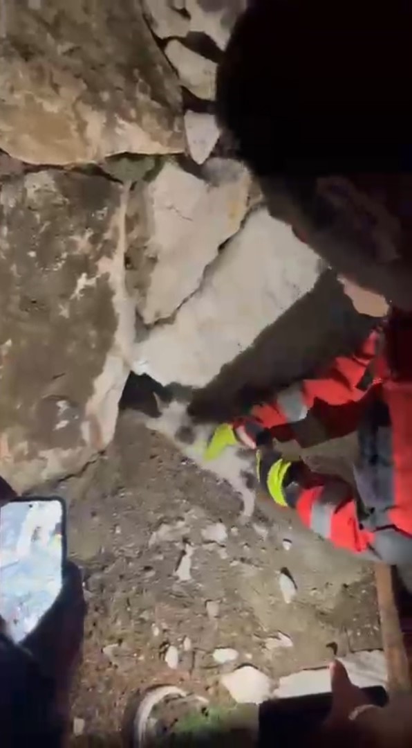 Duvara sıkışan kediyi itfaiye kurtardı