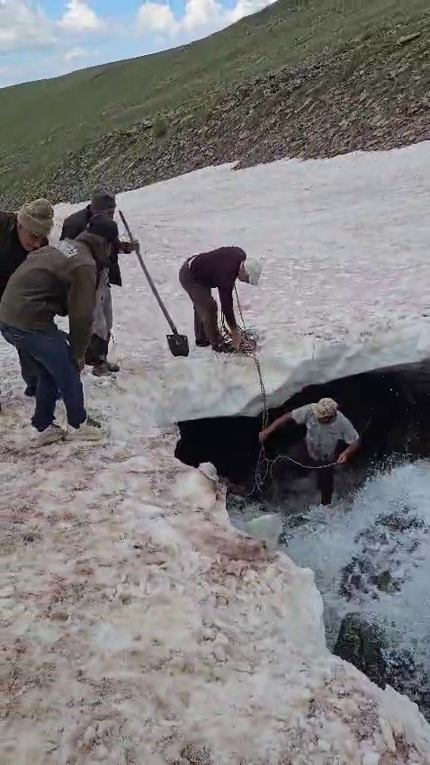 Tortum’da buzullarda dana kurtarma operasyonu