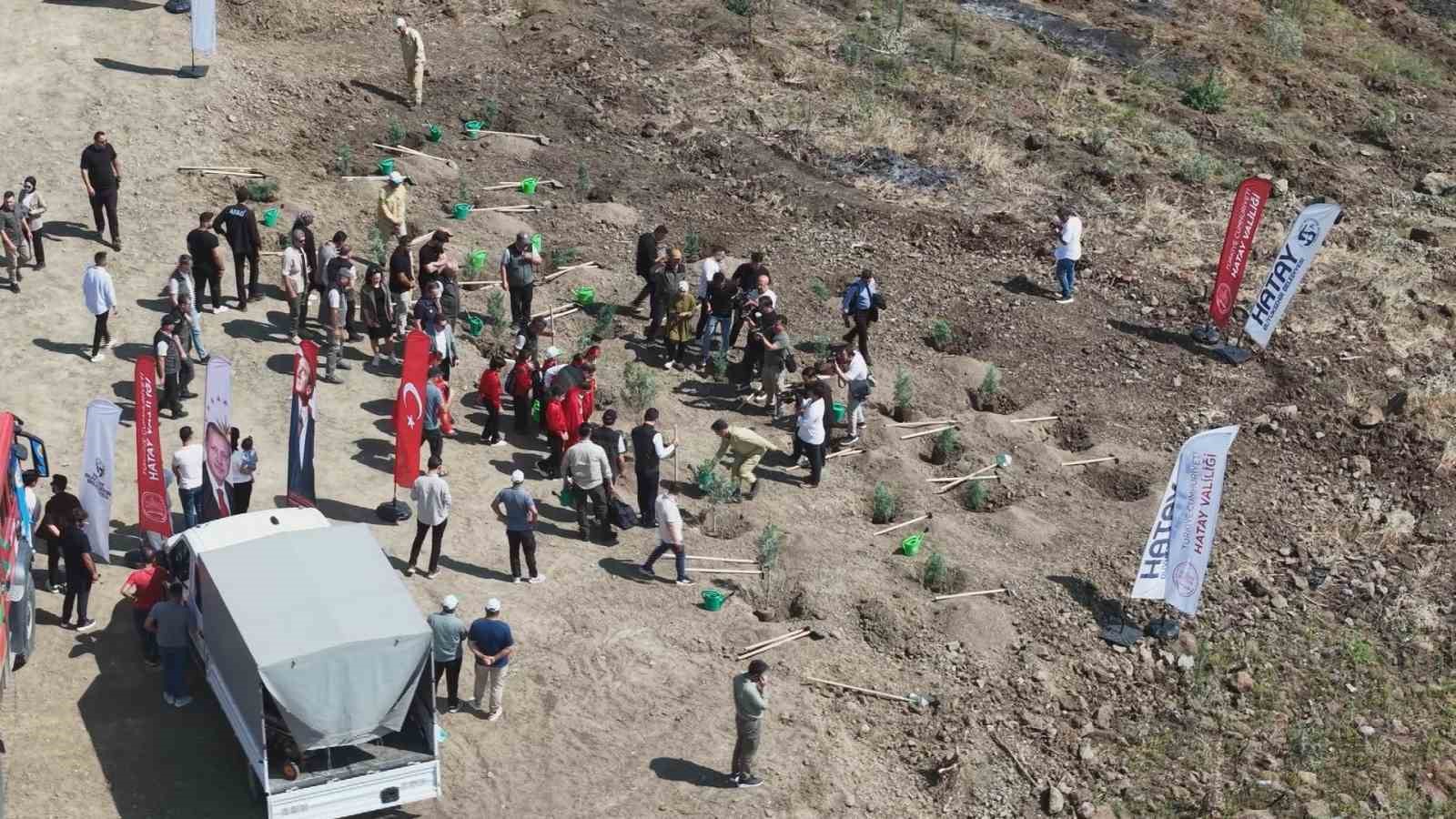 Orman yangınından zarar gören alana fidan ekildi
