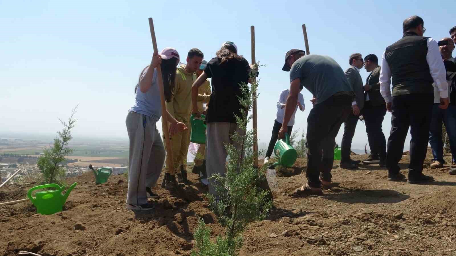 Orman yangınından zarar gören alana fidan ekildi
