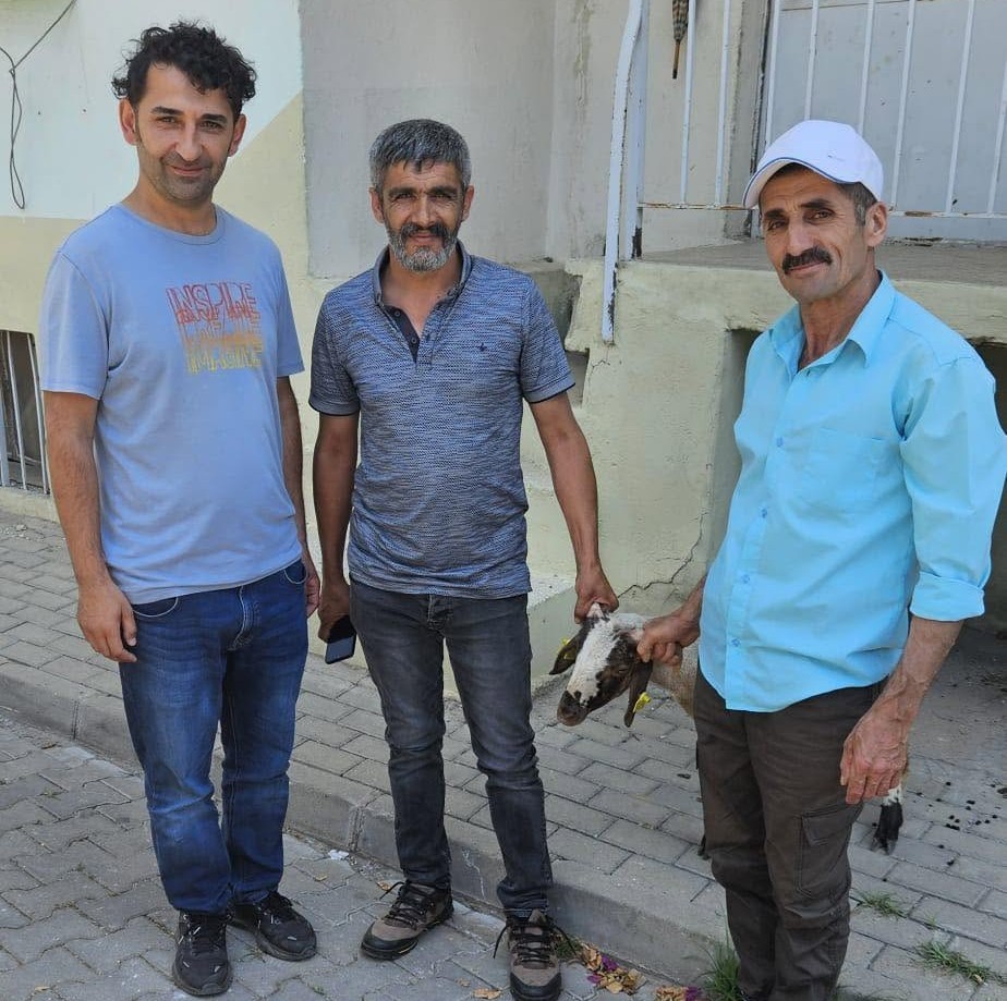 Kapılara toslayan kuzunun sahibi küpesinden bulundu