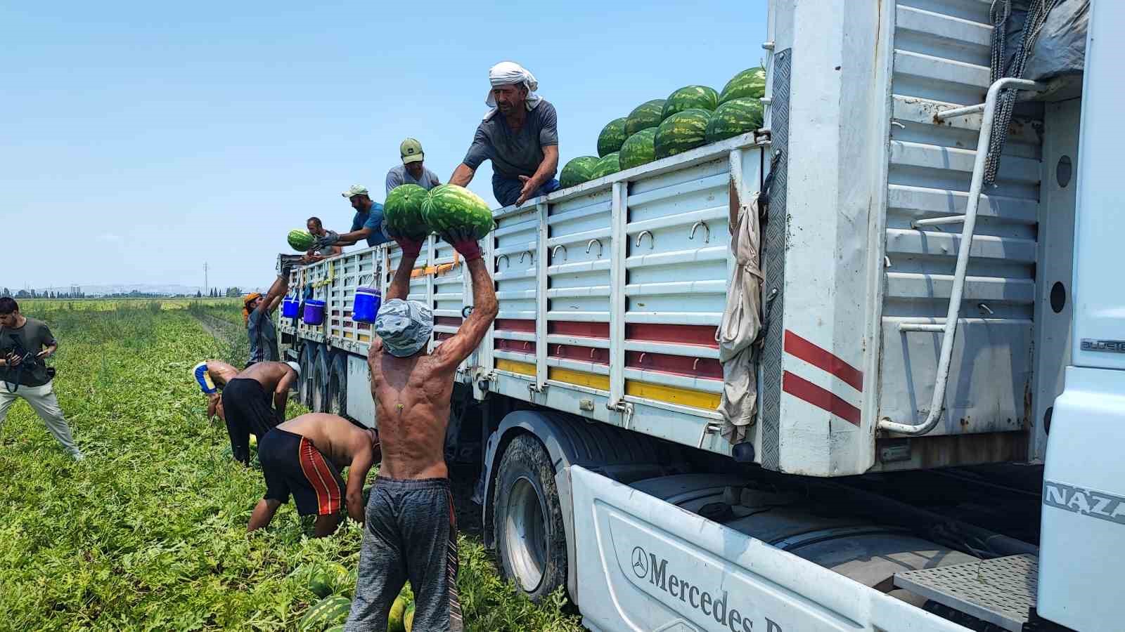 40 derece sıcakta karpuz işçilerinin ekmek mücadelesi