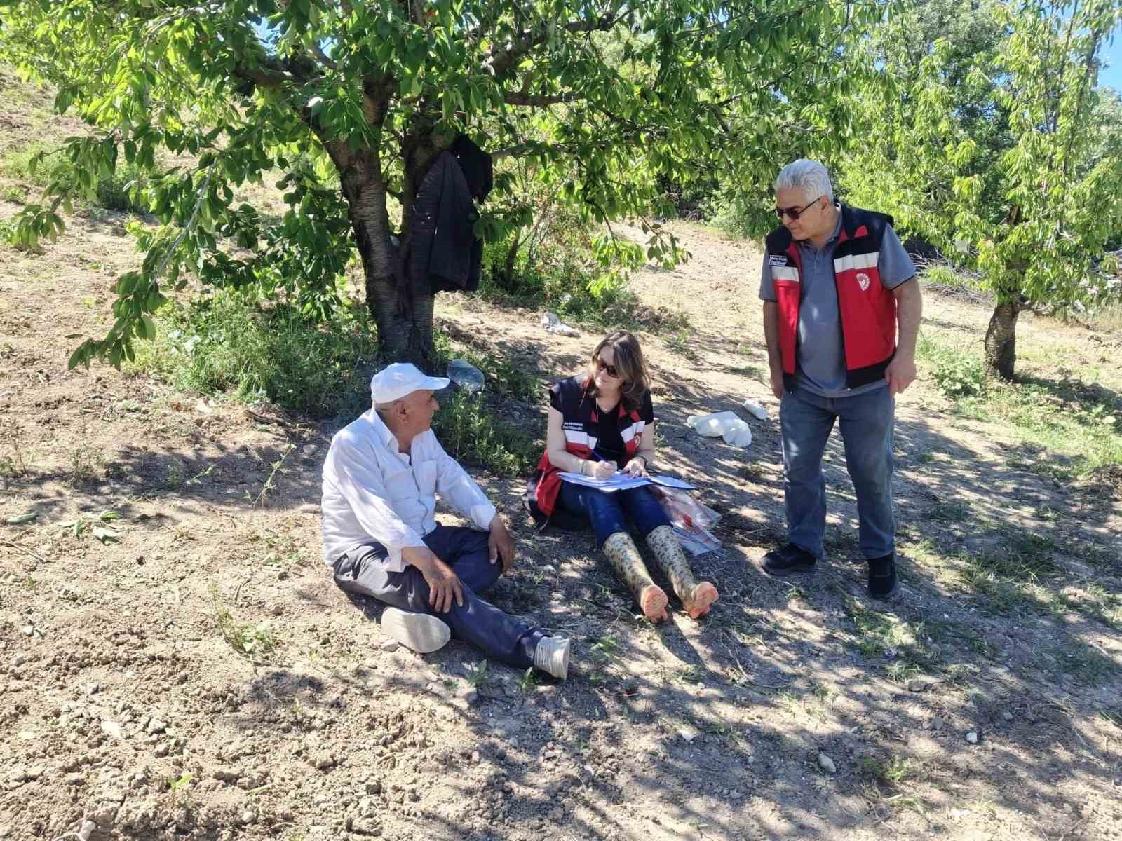 Kütahya’da kirazda hasat öncesi pestisit denetimleri başladı
