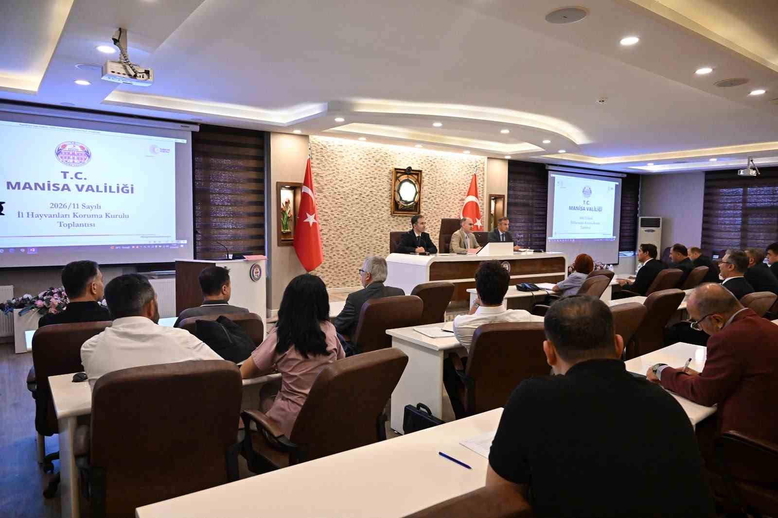 Manisa’da 11 bin sahipsiz hayvan kısırlaştırıldı