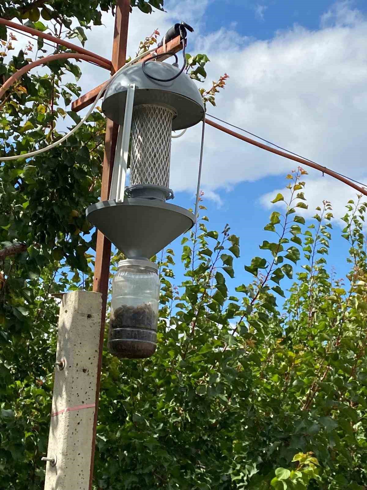Domates güvesi, mantar sineği ve elma iç kurduna ışık tuzağı