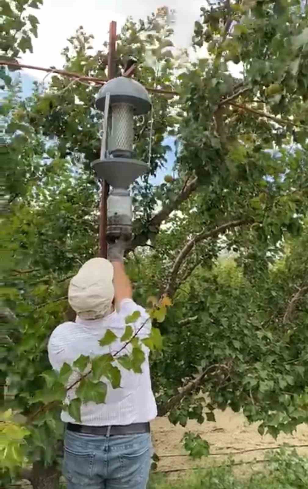 Domates güvesi, mantar sineği ve elma iç kurduna ışık tuzağı