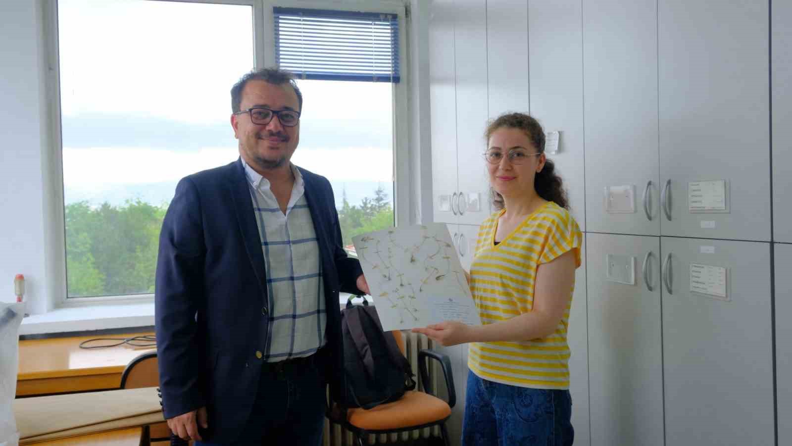 Anadolu Üniversitesi’nden dünya literatürüne iki yeni endemik tür