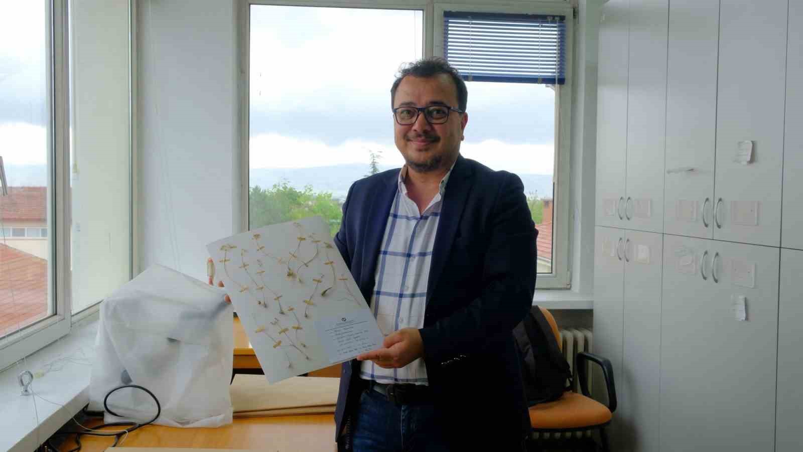 Anadolu Üniversitesi’nden dünya literatürüne iki yeni endemik tür