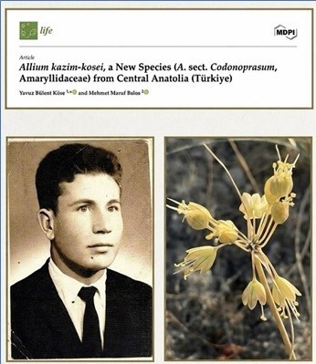 Anadolu Üniversitesi’nden dünya literatürüne iki yeni endemik tür