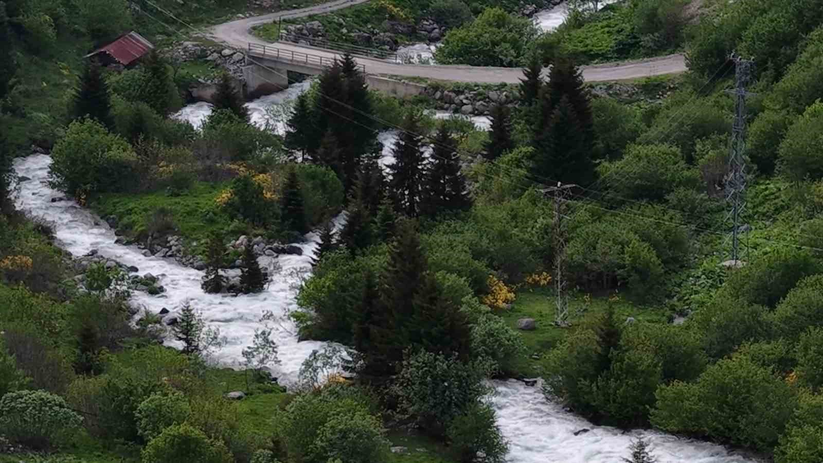 Beyaz örtü kalktı, Rize yaylaları yeşile büründü