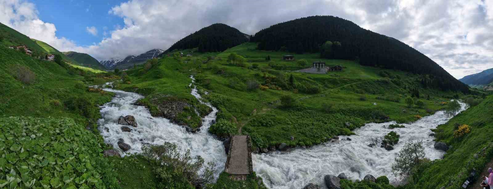 Beyaz örtü kalktı, Rize yaylaları yeşile büründü