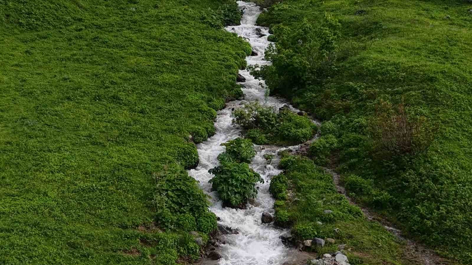 Beyaz örtü kalktı, Rize yaylaları yeşile büründü
