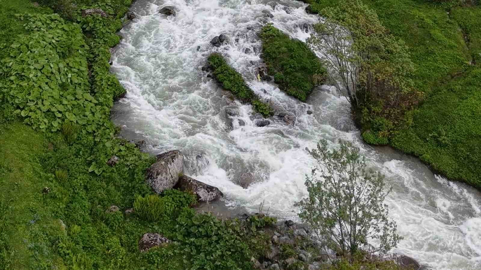 Beyaz örtü kalktı, Rize yaylaları yeşile büründü
