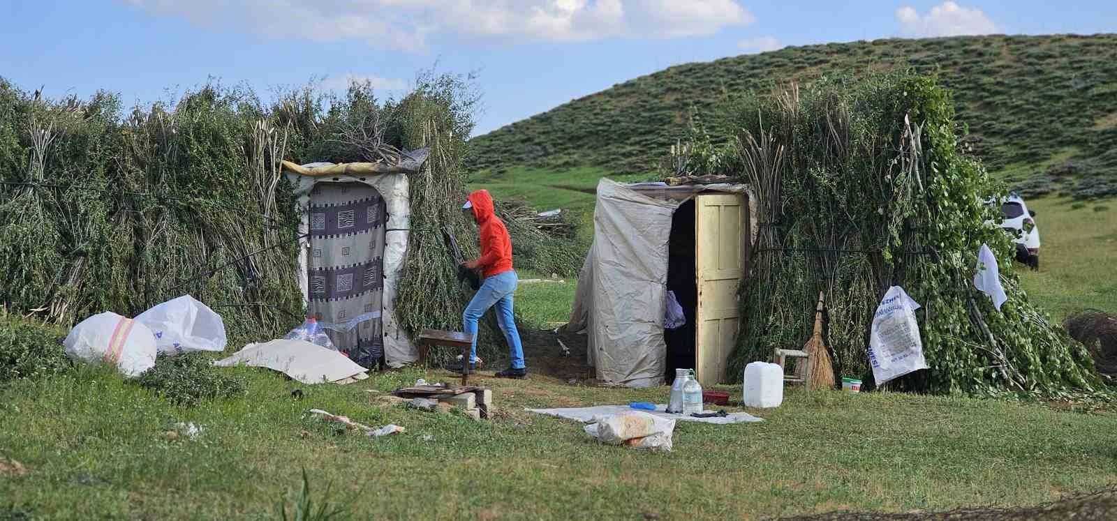 Muş’ta yayla mesaisi başladı: Lezzetli sütün sırrı dağlarda saklı