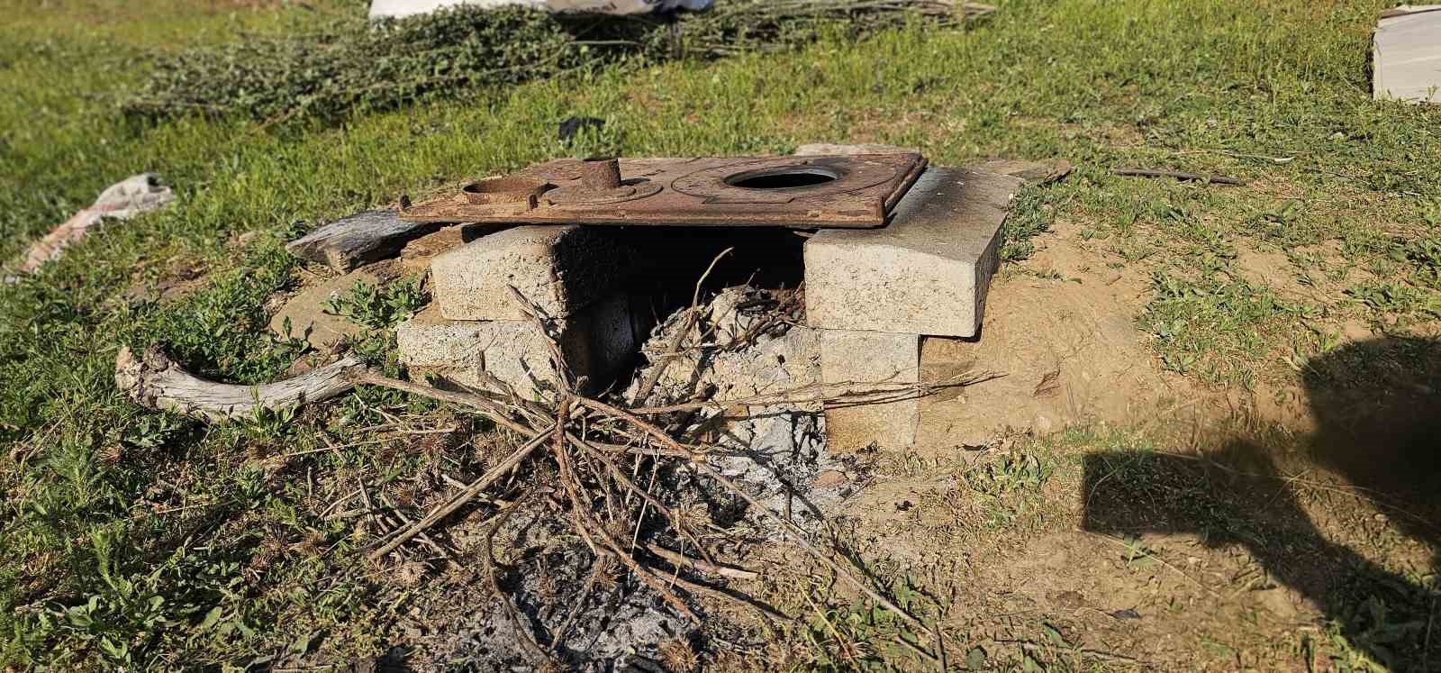 Muş’ta yayla mesaisi başladı: Lezzetli sütün sırrı dağlarda saklı