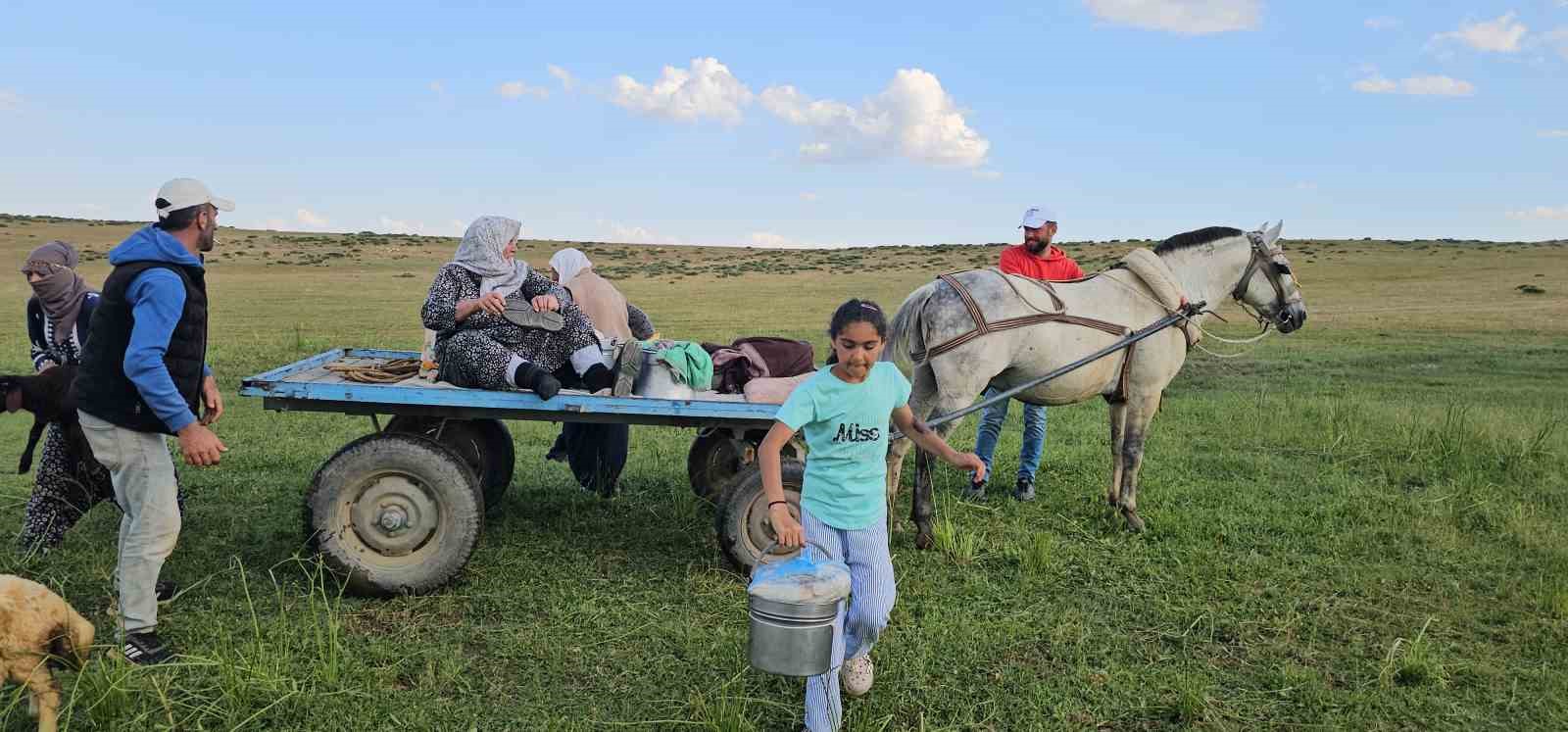 Muş’ta yayla mesaisi başladı: Lezzetli sütün sırrı dağlarda saklı