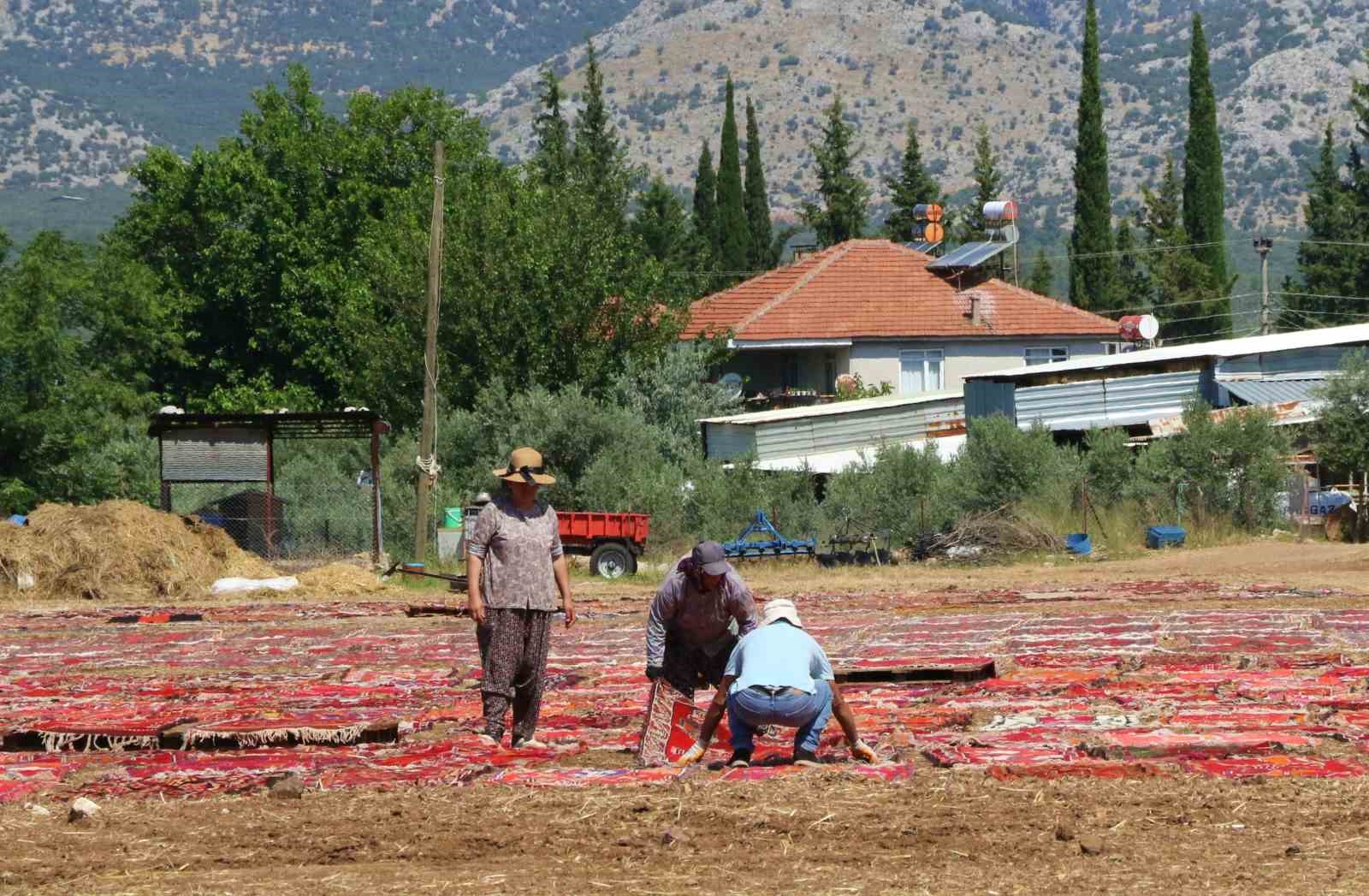 Yüzlerce yıllık halılar buğday tarlalarını renk cümbüşüne çevirdi