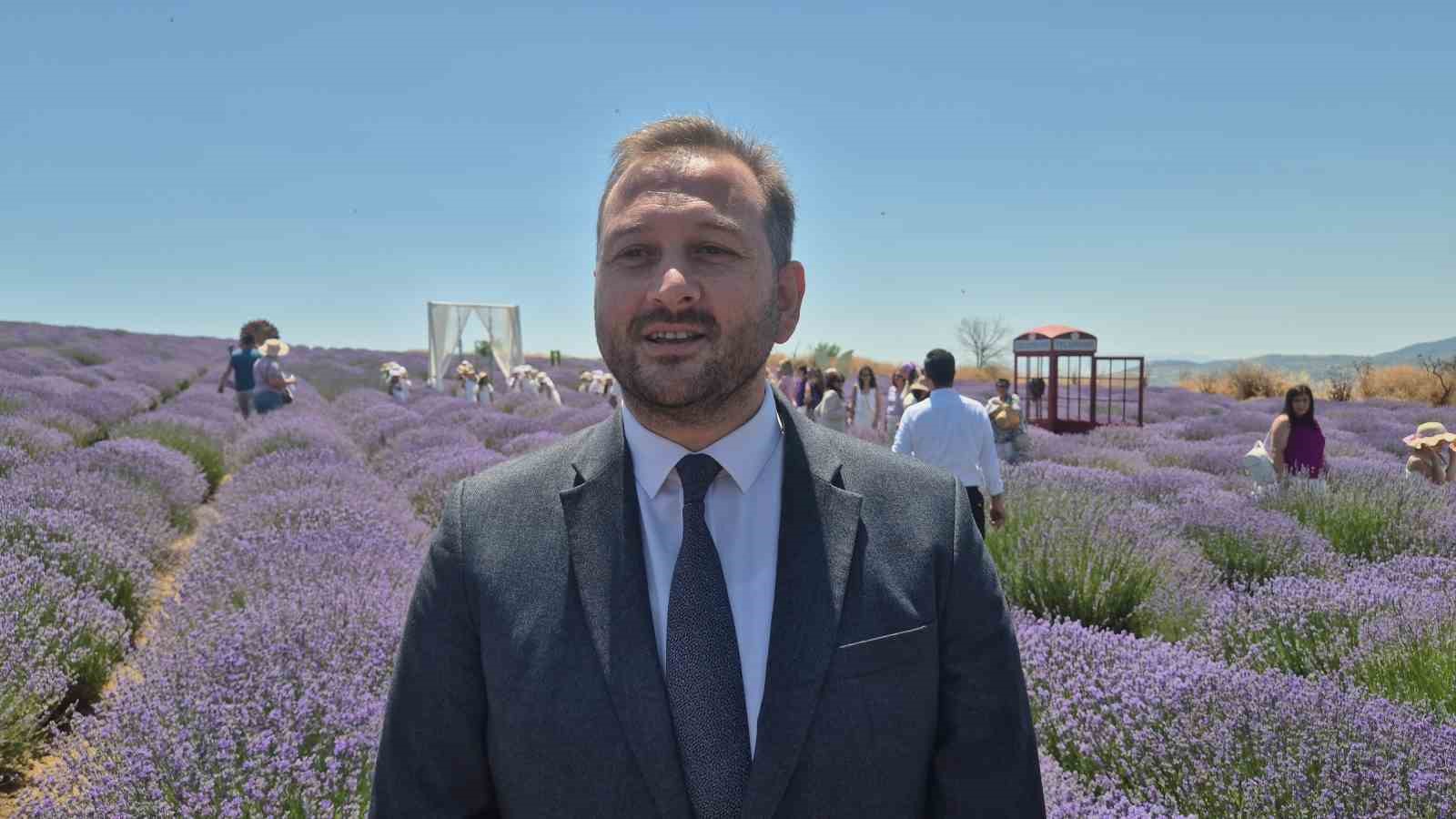 Lavanta tarlasında mor renkli karne sevinci
