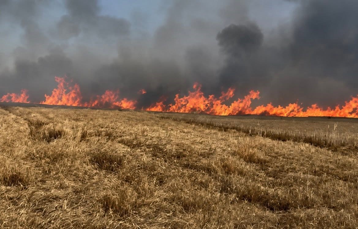 Tekirdağ’da 400 dönüm buğday ekili alan yandı