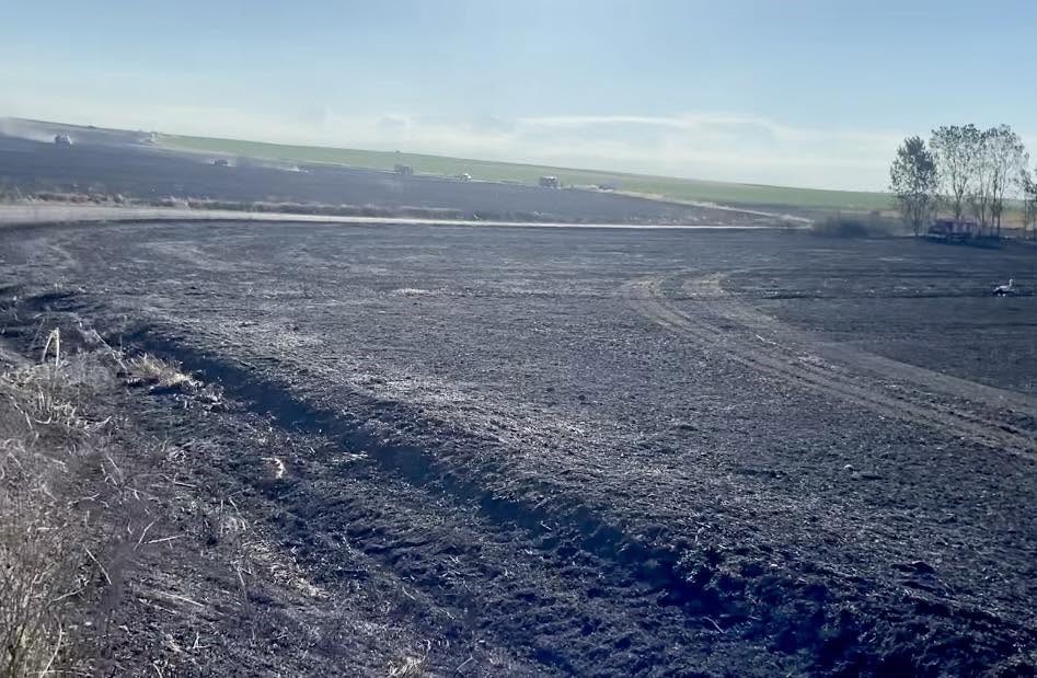 Tekirdağ’da 400 dönüm buğday ekili alan yandı