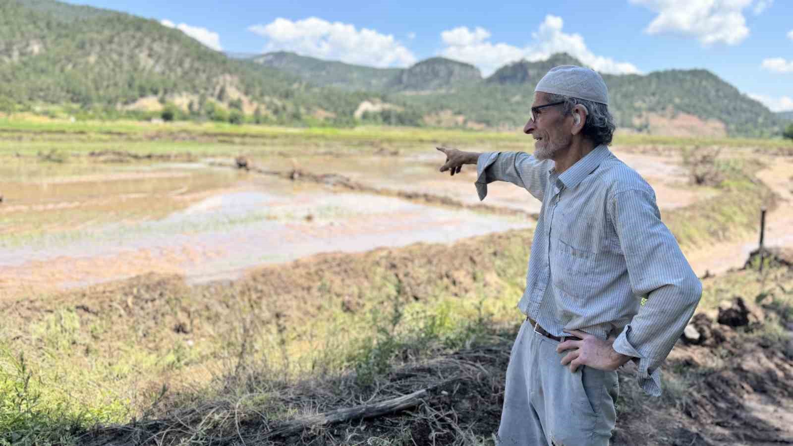 Karabük’te yaka seli çeltik tarlalarını vurdu