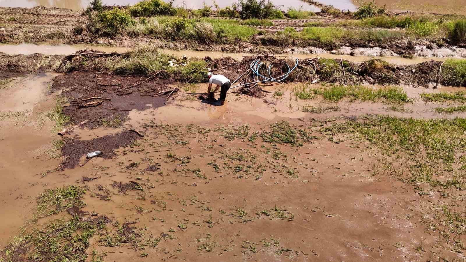 Karabük’te yaka seli çeltik tarlalarını vurdu