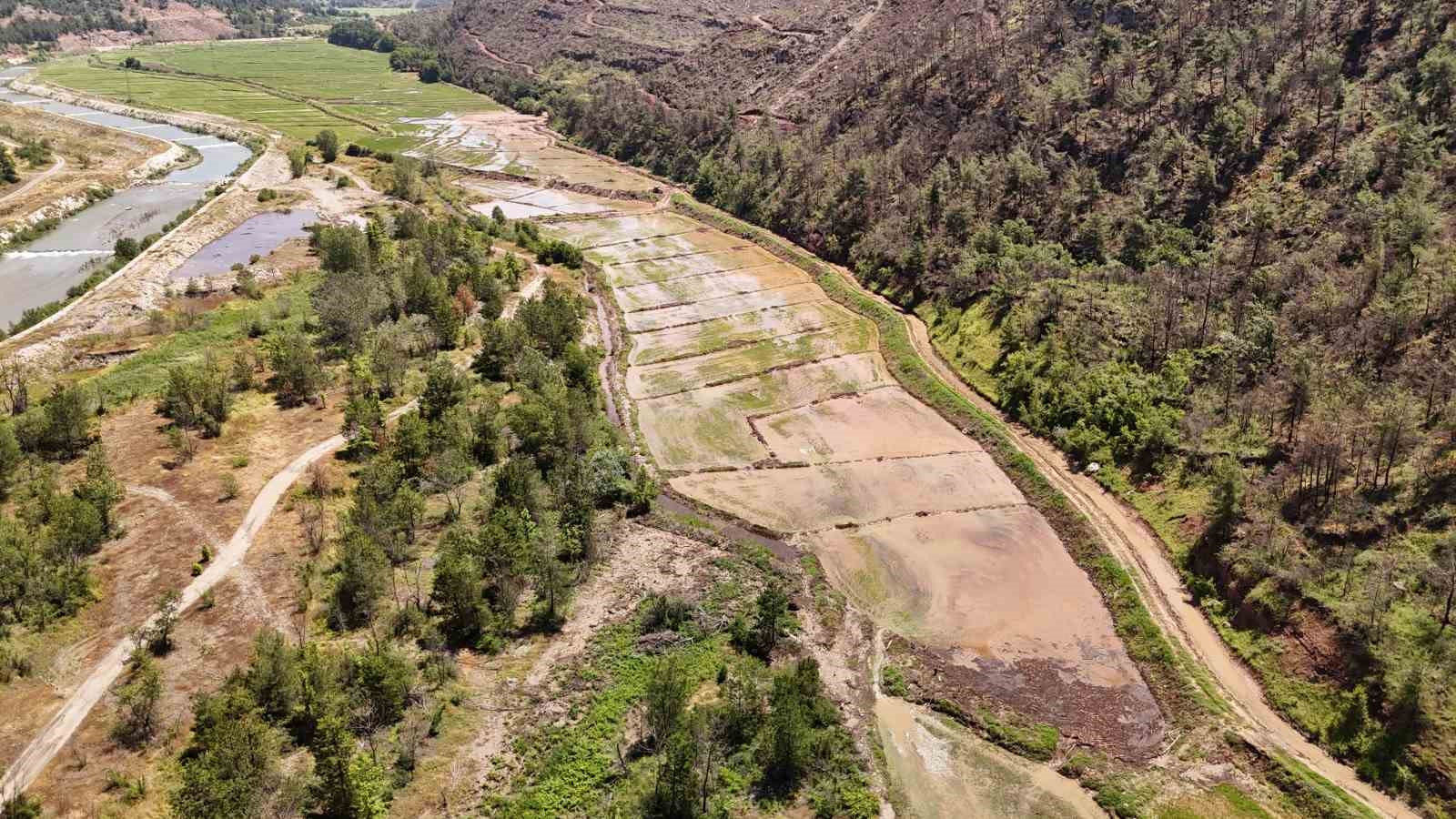 Karabük’te yaka seli çeltik tarlalarını vurdu