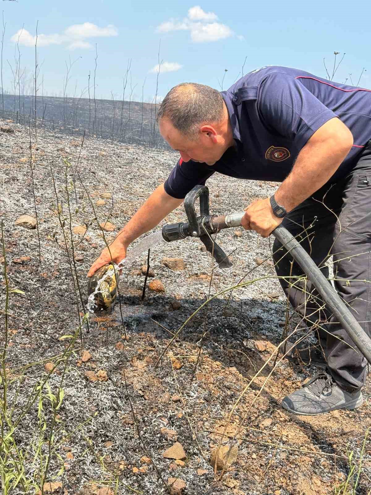Yangının ortasında kalan kaplumbağayı suyla serinlettiler