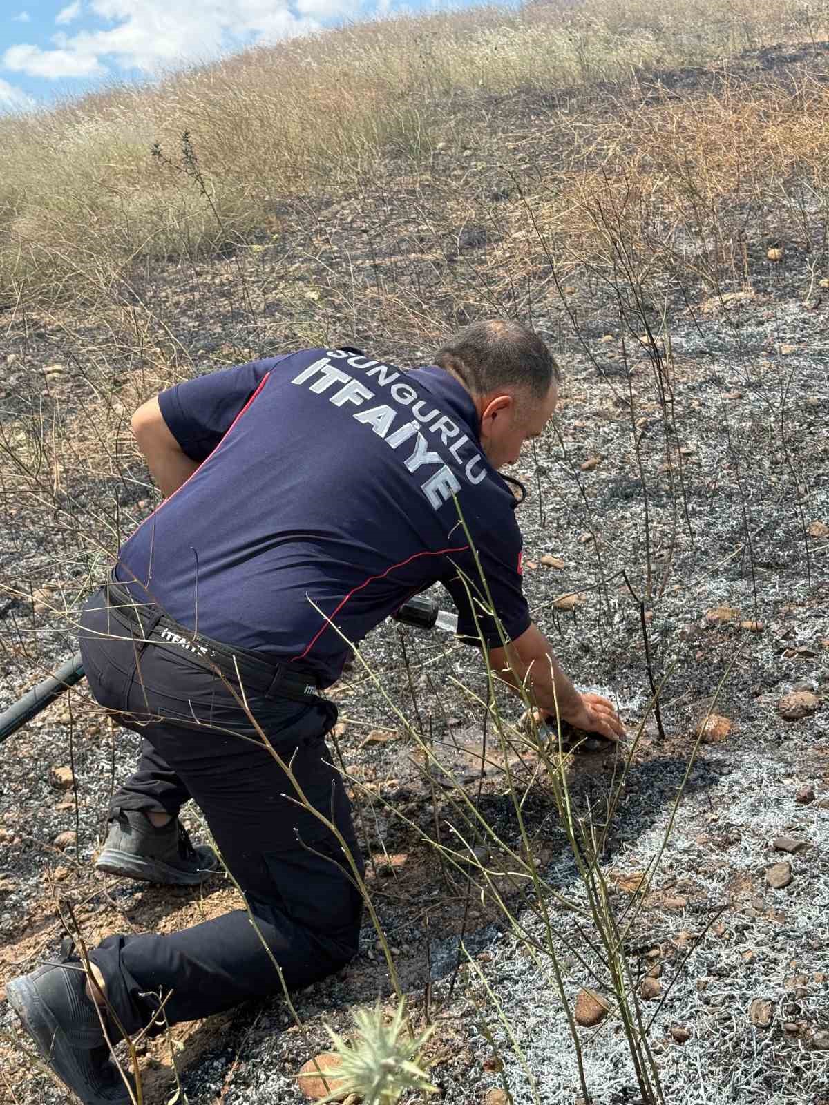 Yangının ortasında kalan kaplumbağayı suyla serinlettiler