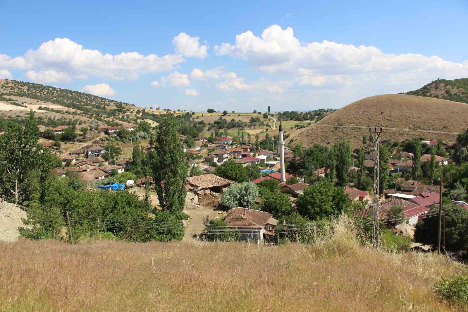 Ölümcül kenelere karşı binlerce kınalı keklik