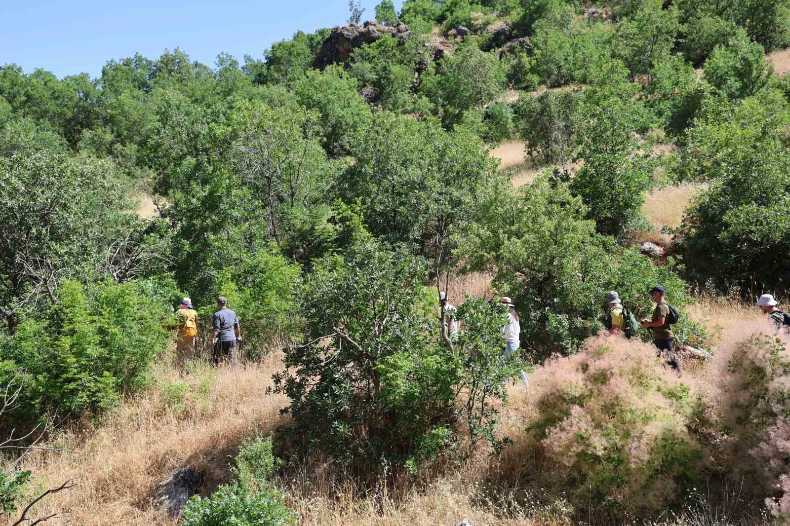 Kokartlı rehberler 541 kilometrelik Kral Yolu rotasını gezdi