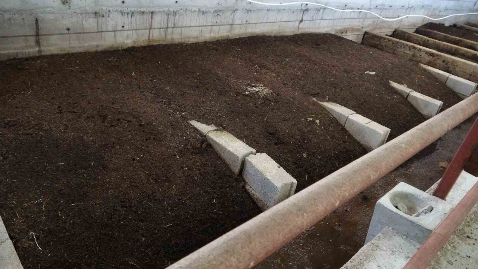 Bahçesinde ürettiği solucan gübresi gelir kaynağı oldu