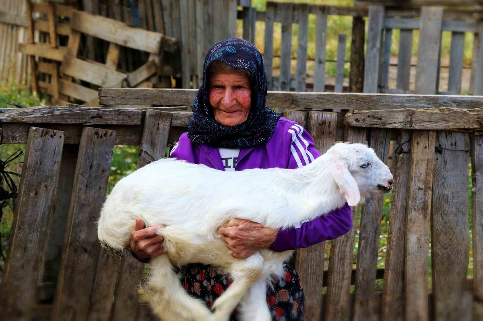 Antalya’nın süper çobanı Emine Nine: 94 yaşında, 90 yıldır keçileriyle dağlarda