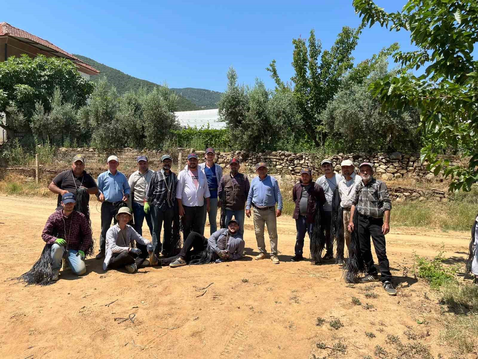 Sarıgöl Ovası beyaza bürünmeye başladı
