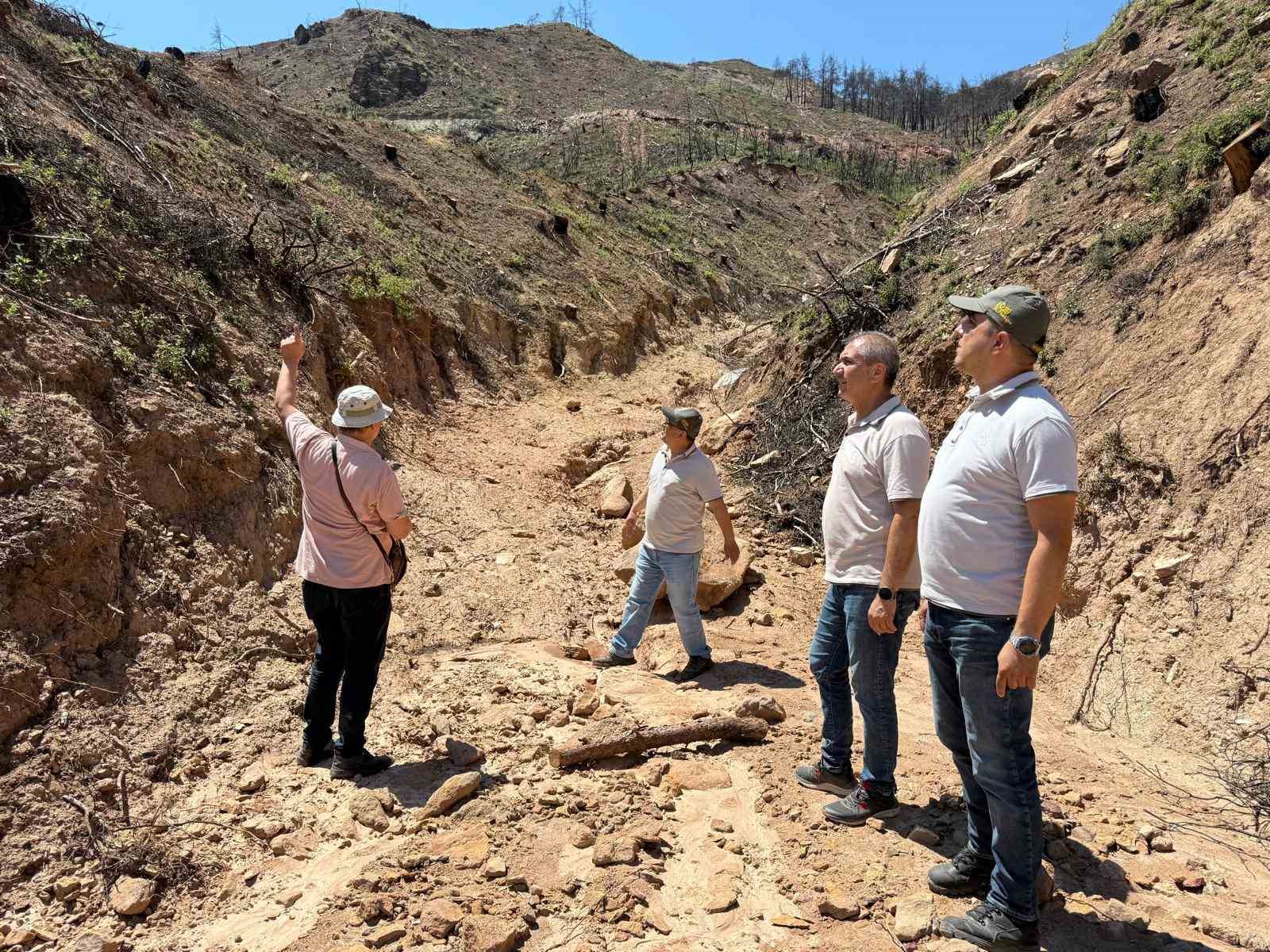 Buldan’da  ormanlar için kalıcı çalışmalar başladı