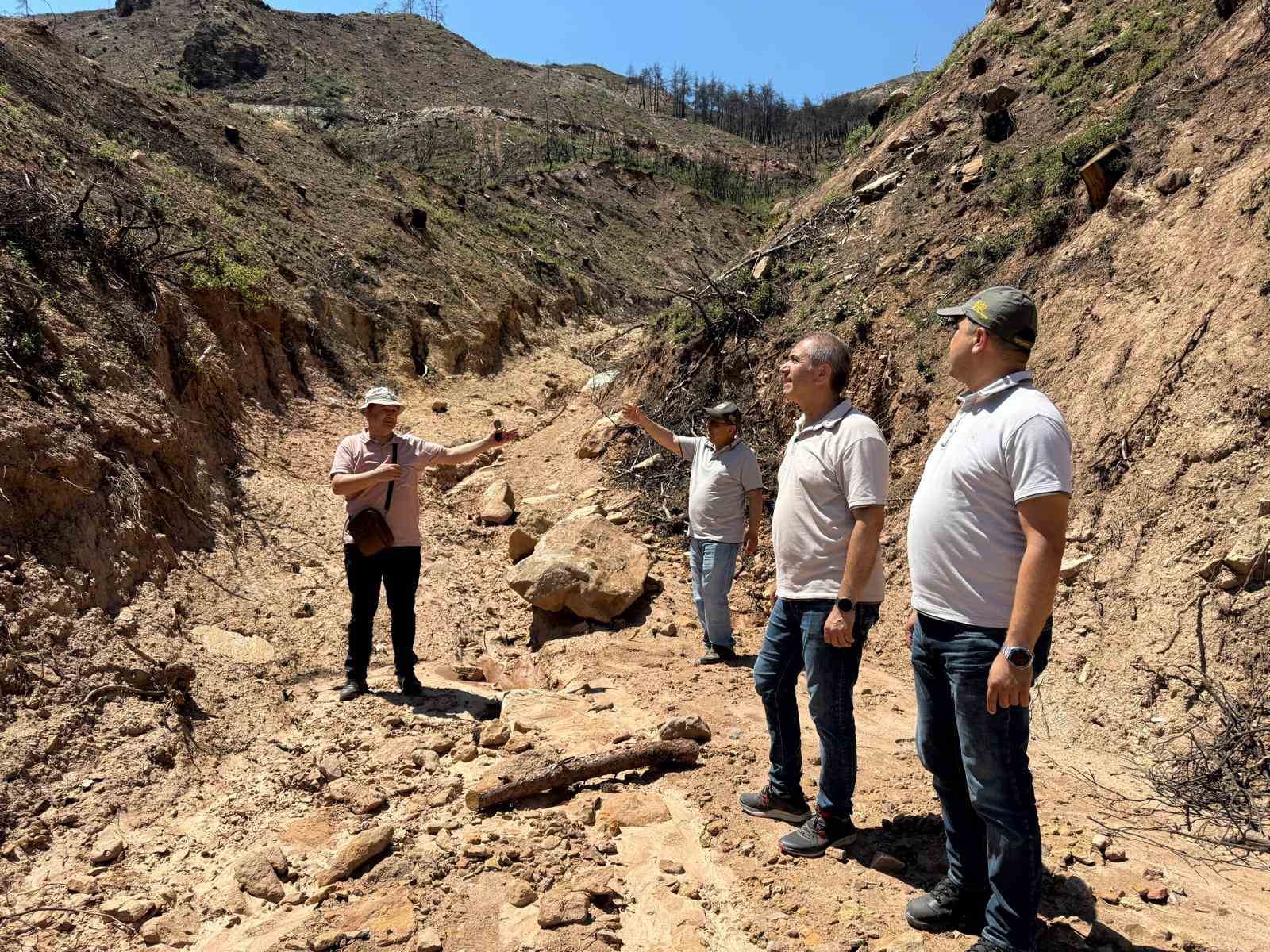 Buldan’da  ormanlar için kalıcı çalışmalar başladı