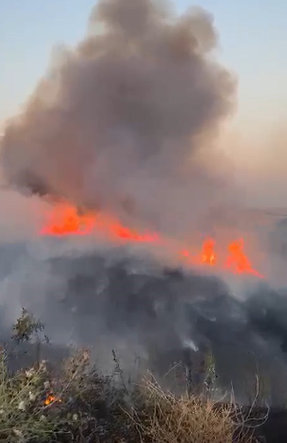 Oğuzeli’nde buğday tarlasında yangın