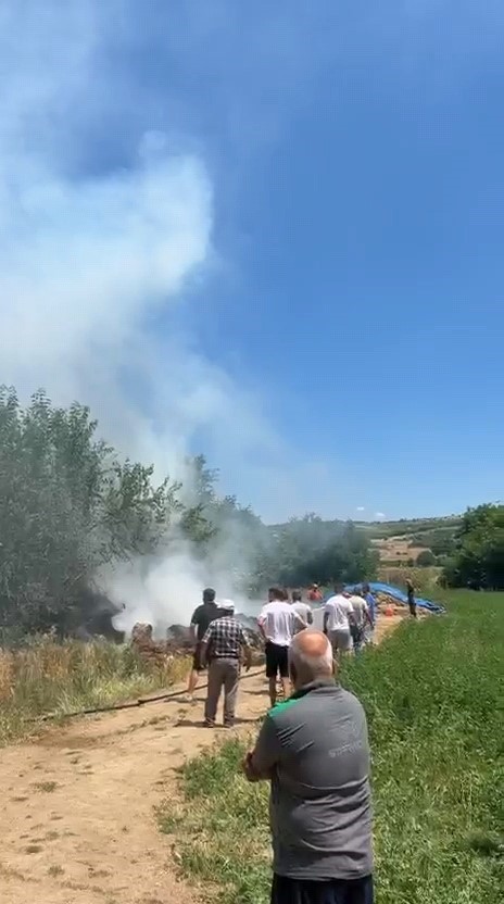 Anız alevi 20 dönümü küle çevirdi