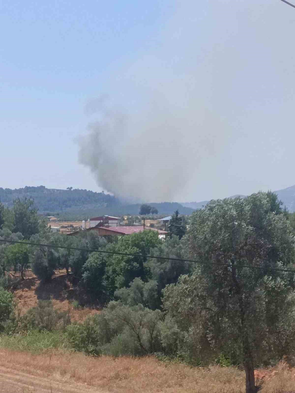 Seydikemer’de orman yangını