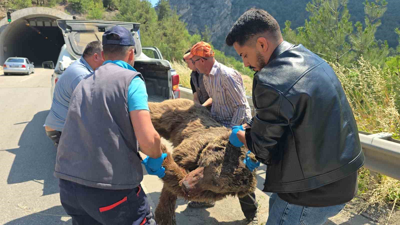 Tünelde başlayan yaşam mücadelesi çayda son buldu