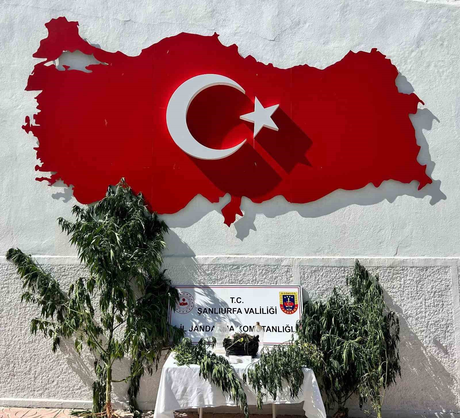 Hilvan’da uyuşturucu operasyonu: 1 gözaltı