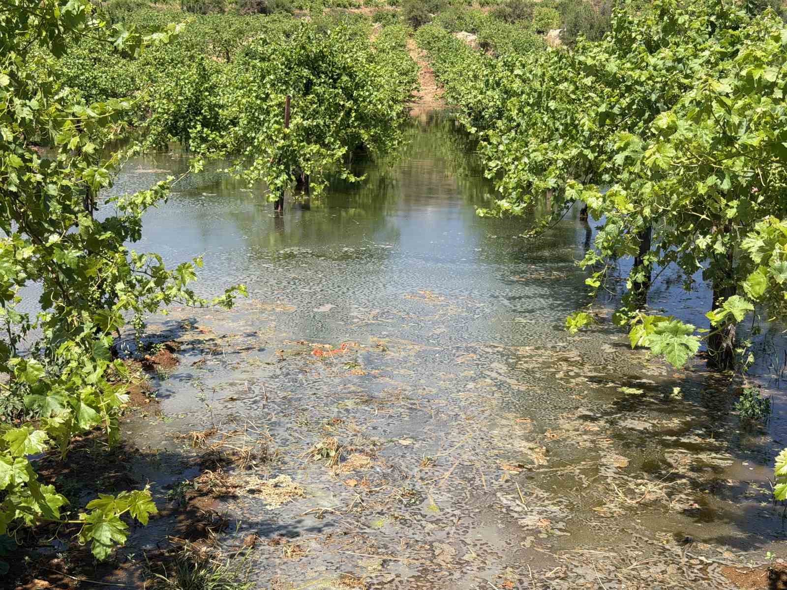 Batı Şeria’daki İsrailli yerleşimciler, Filistinlilerin tarım arazilerine kanalizasyon atığı bıraktı