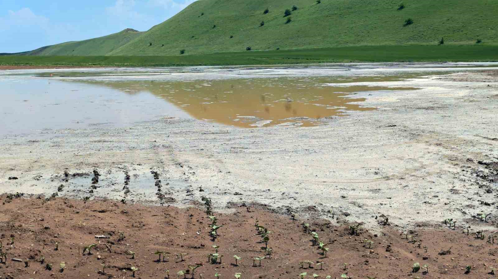 Ahlat’ta sel tarım arazilerine zarar verdi