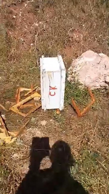 Ayılar arı kovanlarını parçaladı, kontrole giden üretici neye uğradığını şaşırdı